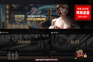 Read more about the article 맥시멈 먹튀