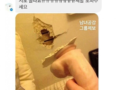 가족 몰래 자위하다가 벽 부숴짐 도와주세요 ㅠㅠ